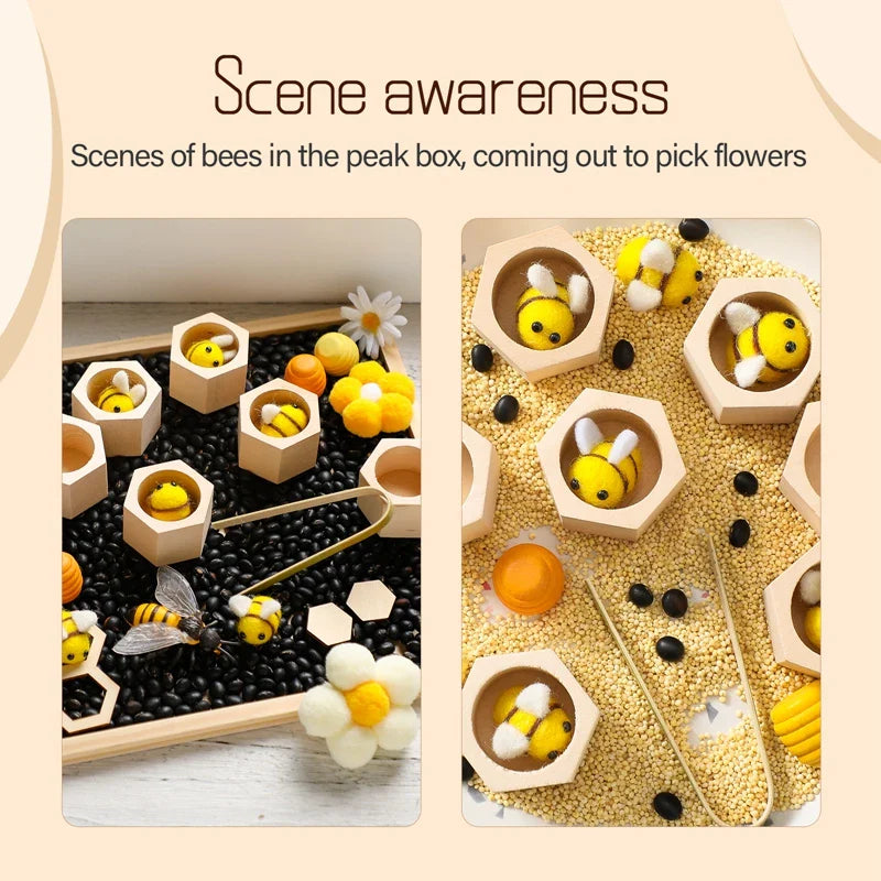 Wooden Montessori Sorting Toys