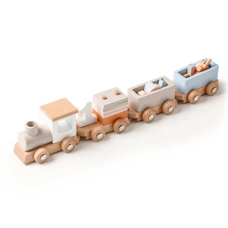 Wooden Montessori Sorting Toys