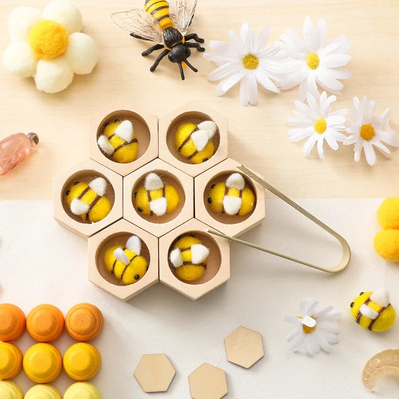 Wooden Montessori Sorting Toys